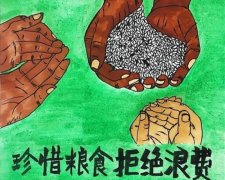 关于肯富来开展“杜绝浪费 节粮爱粮”活动的倡议书